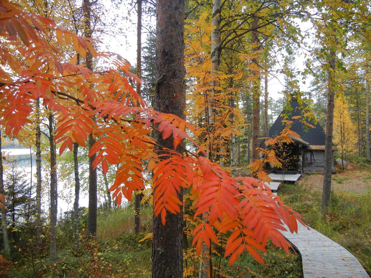 Wilderness Hotel Kuusamo Kiviperä Exterior foto